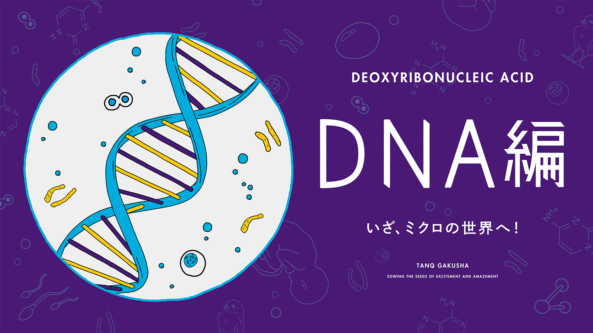 DNA編
